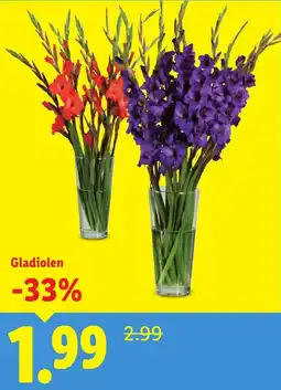Lidl Gladiolen aanbieding