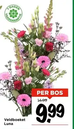 Vomar Voordeelmarkt Veldboeket Luna aanbieding
