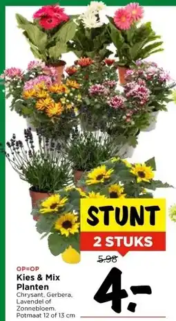 Vomar Voordeelmarkt Kies & Mix Planten aanbieding