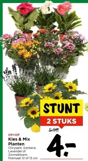 Vomar Voordeelmarkt Kies & Mix Planten aanbieding
