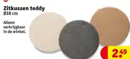 Kruidvat Zitkussen teddy aanbieding