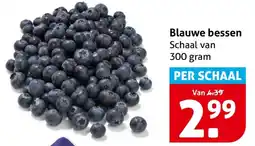 Hoogvliet Blauwe bessen aanbieding
