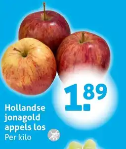 Hoogvliet Hollandse jonagold appels aanbieding