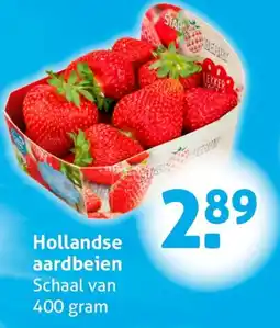 Hoogvliet Hollandse aardbeien aanbieding