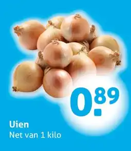 Hoogvliet Uien aanbieding