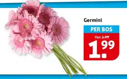 Hoogvliet Germini aanbieding