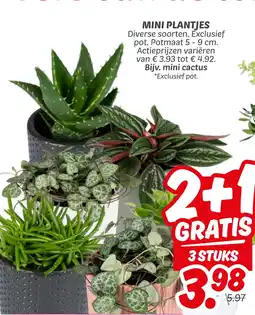 Dekamarkt Mini plantjes aanbieding