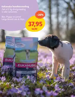 Maxi Zoo Eukanuba hondenvoeding aanbieding