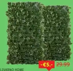 Lidl Privacyscherm aanbieding