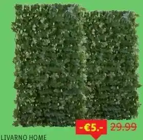 Lidl Privacyscherm aanbieding