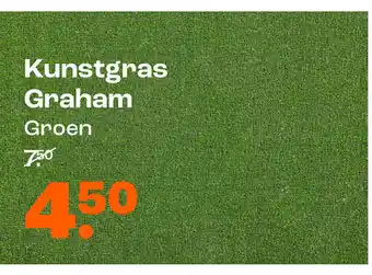 Kwantum Kunstgras Graham aanbieding