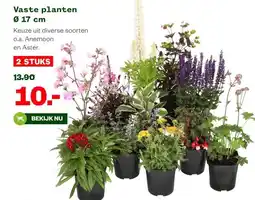 Welkoop Vaste planten Ø 17 cm aanbieding