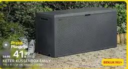 Praxis KETER KUSSENBOX EMILY aanbieding