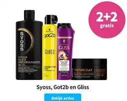 Plein.nl Syoss, Got2b en Gliss aanbieding