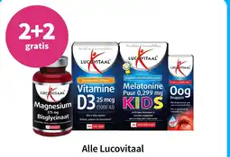 Plein.nl Alle Lucovitaal aanbieding