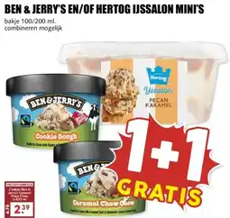 MCD Supermarkt BEN & JERRY'S EN/OF HERTOG IJSSALON MINI'S aanbieding