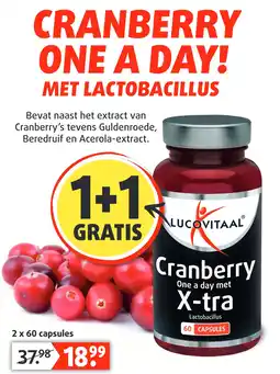 Lucovitaal CRANBERRY ONE A DAY! aanbieding