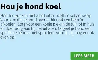 Intratuin Hou je hond koel aanbieding