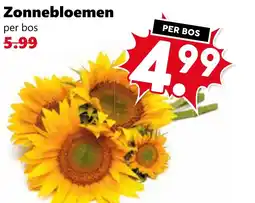 CoopCompact Zonnebloemen aanbieding