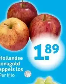 Hoogvliet Hollandse jonagold appels los aanbieding
