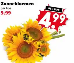 Coop Zonnebloemen aanbieding