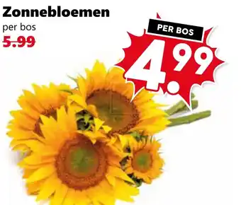 Coop Zonnebloemen aanbieding