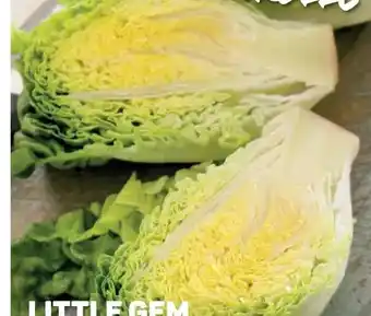 Ekoplaza LITTLE GEM aanbieding