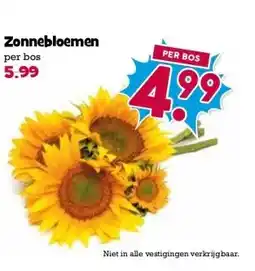 Boon`s Markt Zonnebloemen aanbieding