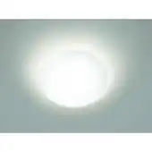 Praxis Philips plafondlamp LED Suede koel wit 2,4W aanbieding
