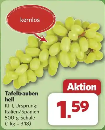 Combi Tafeltrauben hell aanbieding
