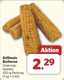 Combi Grillmais Barbecue aanbieding