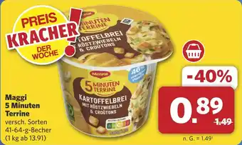 Combi Maggi 5 Minuten Terrine aanbieding
