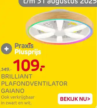 Praxis Brilliant Plafondventilator Gaiano aanbieding