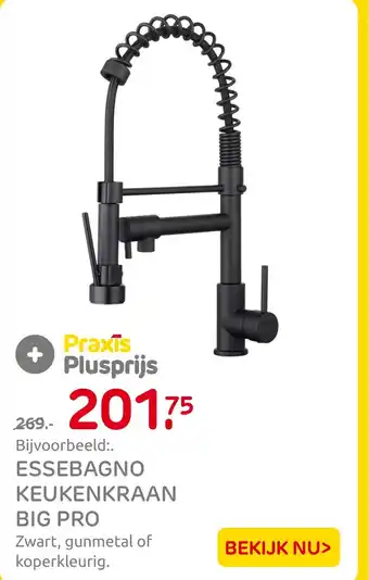 Praxis Essebagno keukenkraan big pro aanbieding