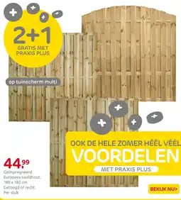 Praxis Geïmpregneerd Europees naaldhout aanbieding