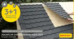 Praxis Aquaplan dakbedekking aqua pan aanbieding