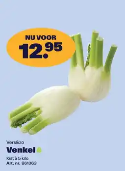 Bidfood Vers&zo Venkel aanbieding
