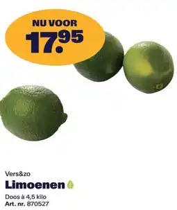 Bidfood Vers&zo Limoenen aanbieding