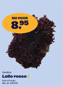 Bidfood Vers&zo Lollo rosso aanbieding