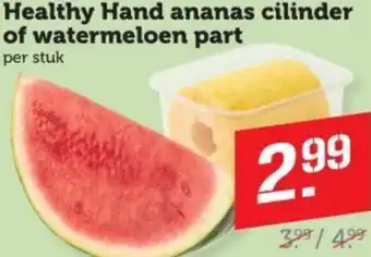 Dagwinkel Healthy Hand ananas cilinder of watermeloen part aanbieding
