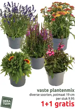 Deka Tuin Vaste plantenmix aanbieding