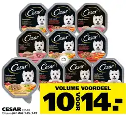 Ranzijn Cesar aanbieding