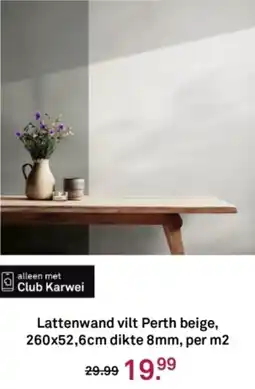 Karwei Lattenwand vilt Perth aanbieding