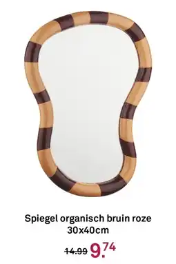 Karwei Spiegel organisch bruin roze aanbieding
