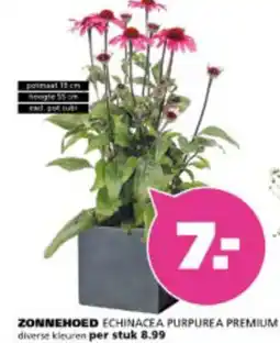 Ranzijn Zonnehoed aanbieding