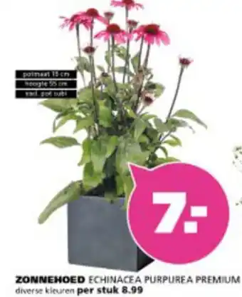 Ranzijn Zonnehoed aanbieding