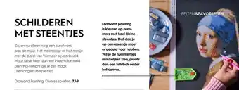 Blokker Diamond Painting aanbieding