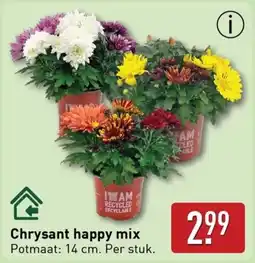 ALDI Chrysant Happy Mix aanbieding