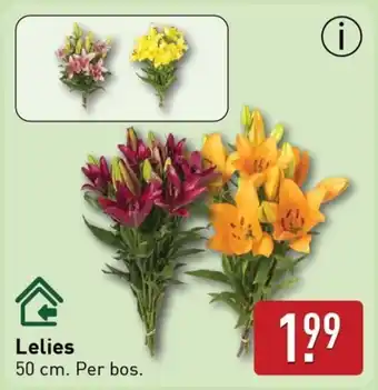 ALDI Lelies aanbieding