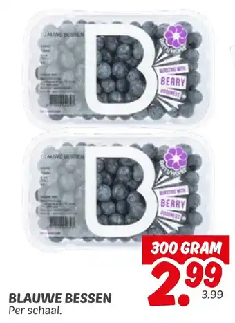 Dekamarkt Blauwe bessen aanbieding